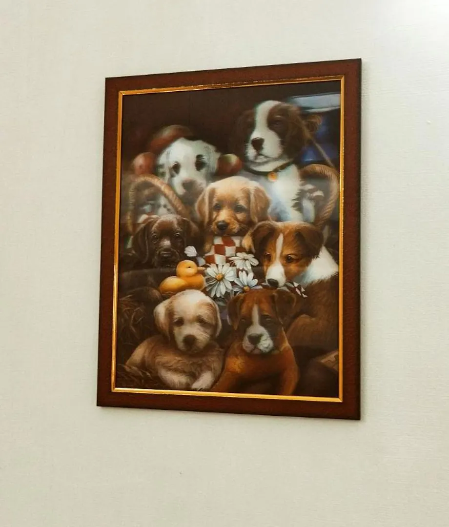 Hornbill Inn Kochi Alloggio in famiglia